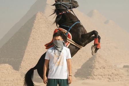 Arabian Horse Tour Around the Giza Pyramids
