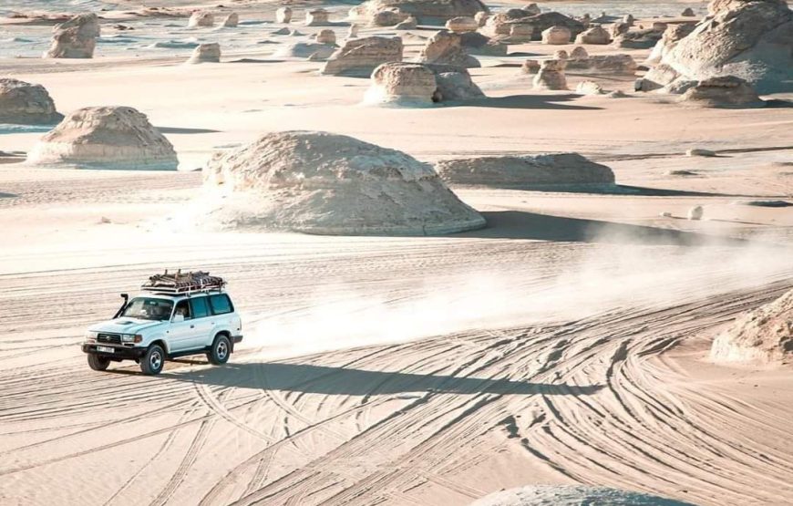 White Desert Adventure Trip – Egypt