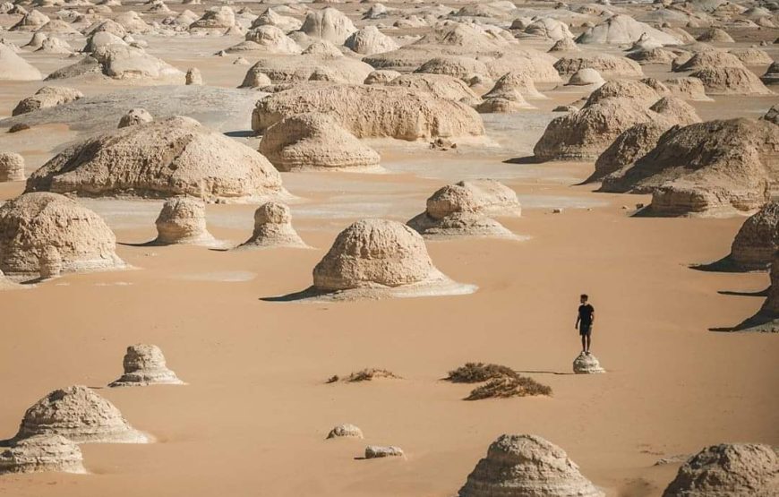 White Desert Adventure Trip – Egypt