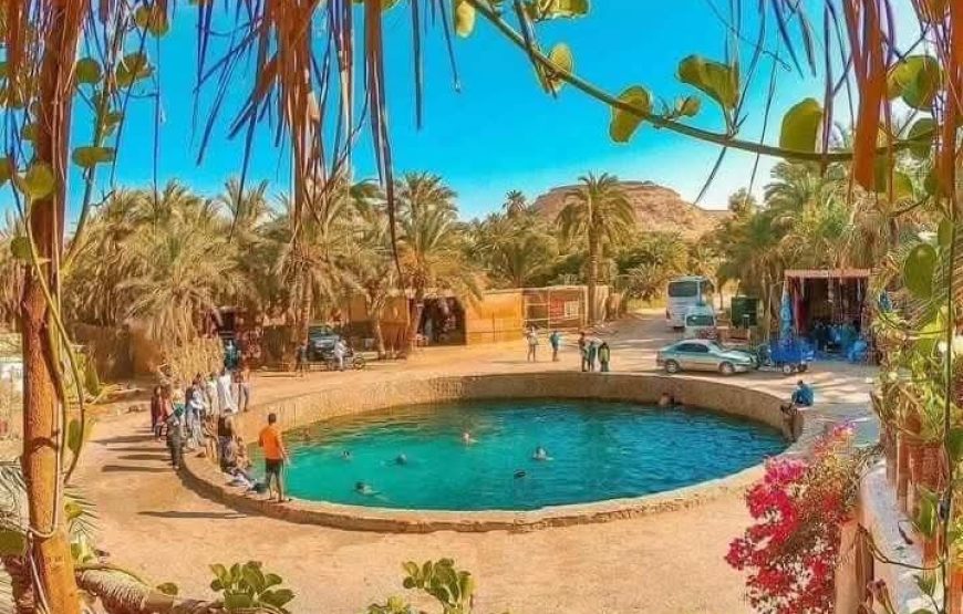 Siwa Oasis Escape