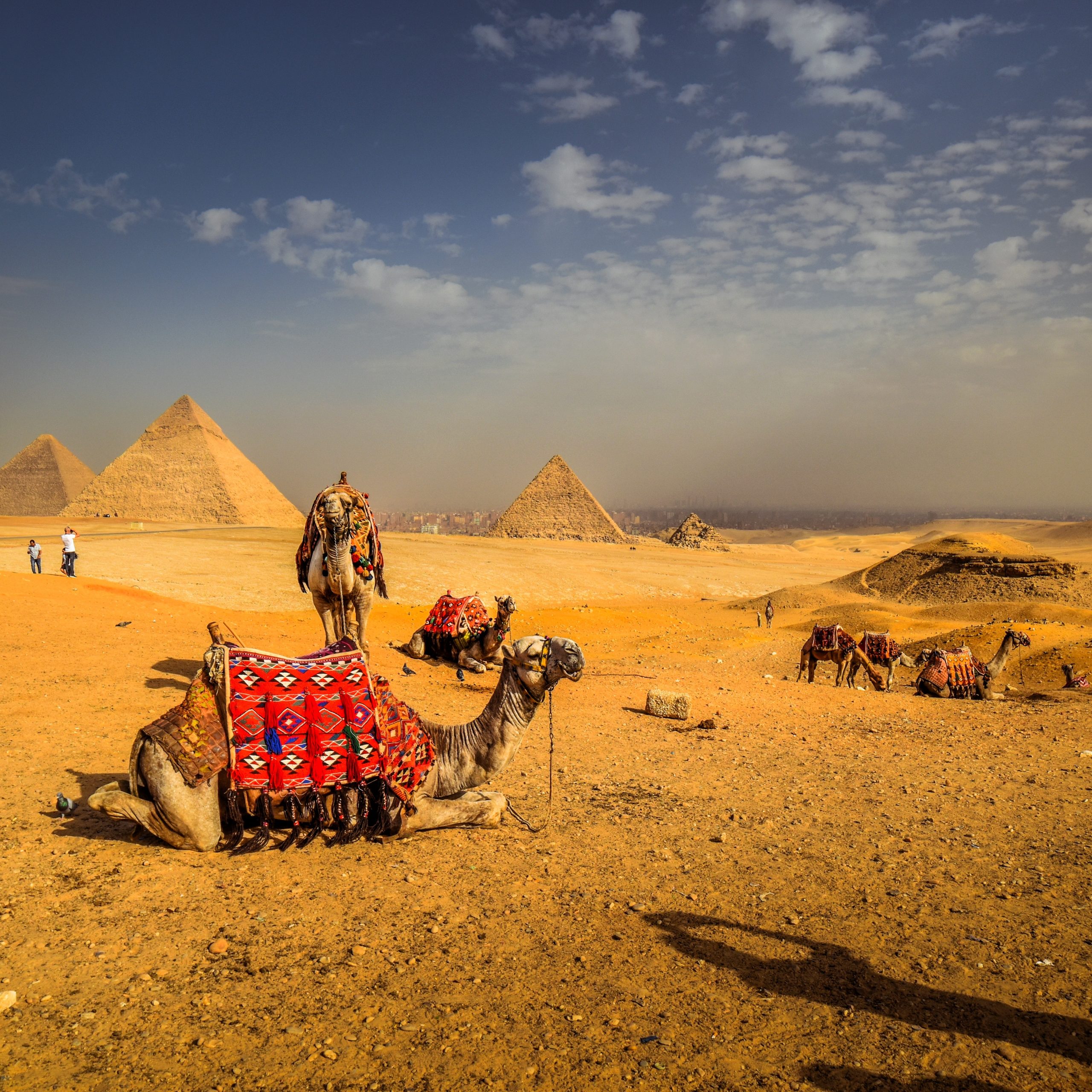 Camel or horse ride around Giza & Photography